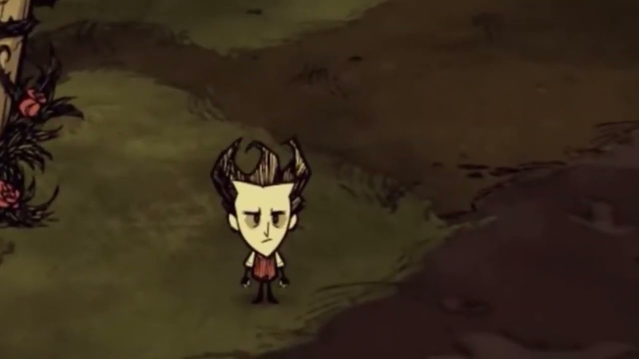 (DST) Wilson Rare Yawn Sound