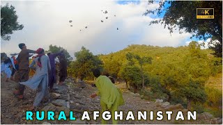 Rural Afghanistan | life in Mountains in Kunar province | 4K