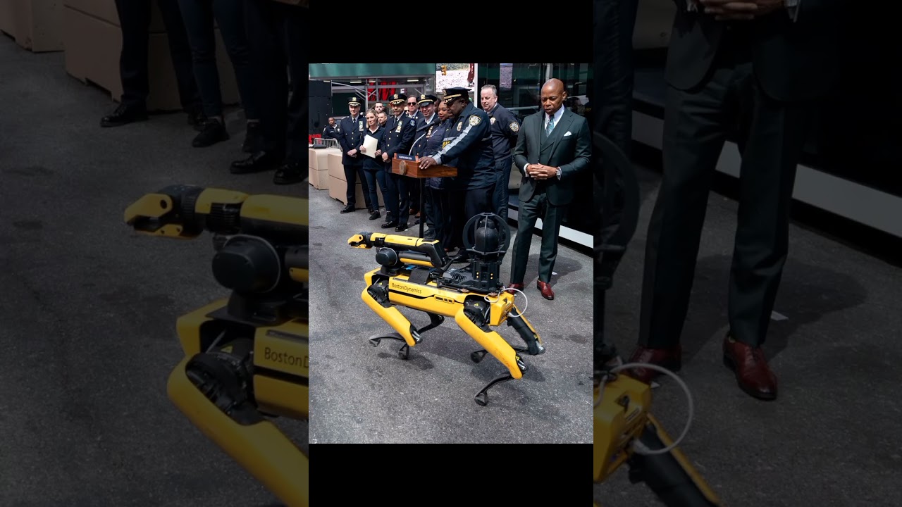 AI Robot Dogs Explained! 🐶🤖 