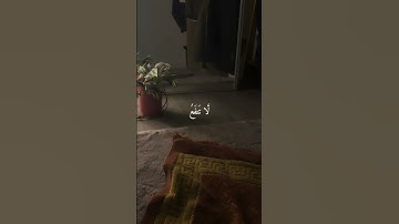 {وَخَشَعَتِ الْأَصْوَاتُ لِلرَّحْمَٰنِ } القارئ شريف مصطفى #سورة_طه #قرآن #اجر