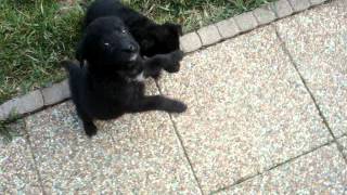 20120314 088.mpg