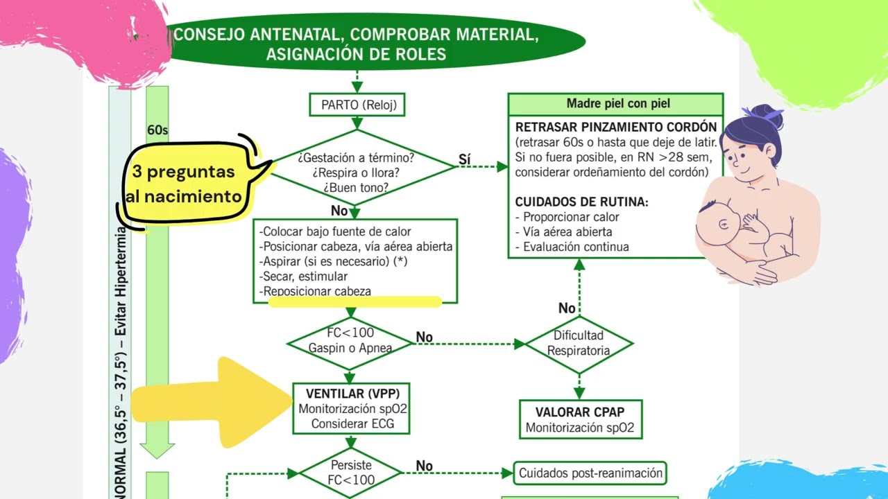 REANIMACION NEONATAL PEDIATRIA ENARM 2025 // UNETE YA A MIEMBROS DEL CANAL!!