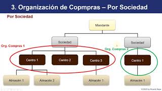 Curso Sap S4 Hana Mm - Compras Y Aprovisionamiento - Organización De Compras
