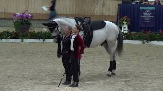 WM Vaulting Juniors - Sven - Ermelo 2019