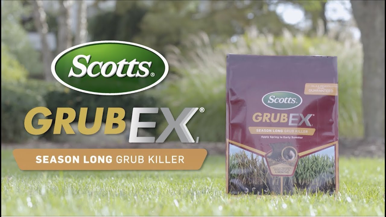 how-to-kill-and-prevent-grubs-using-scotts-grubex-youtube