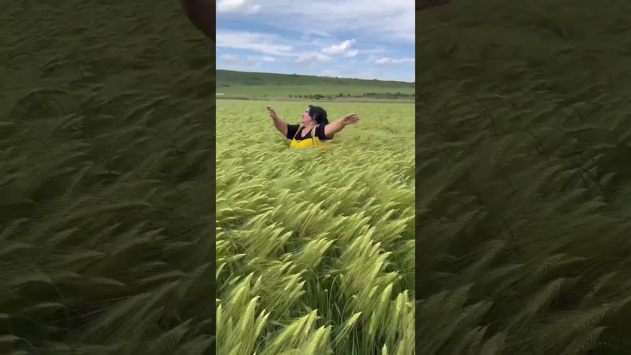 Ячменное поле. Аруся Кавказ. Прикол. 