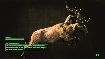 Fallout 4 Loading menu secret