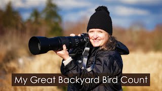 Start Bird Photography