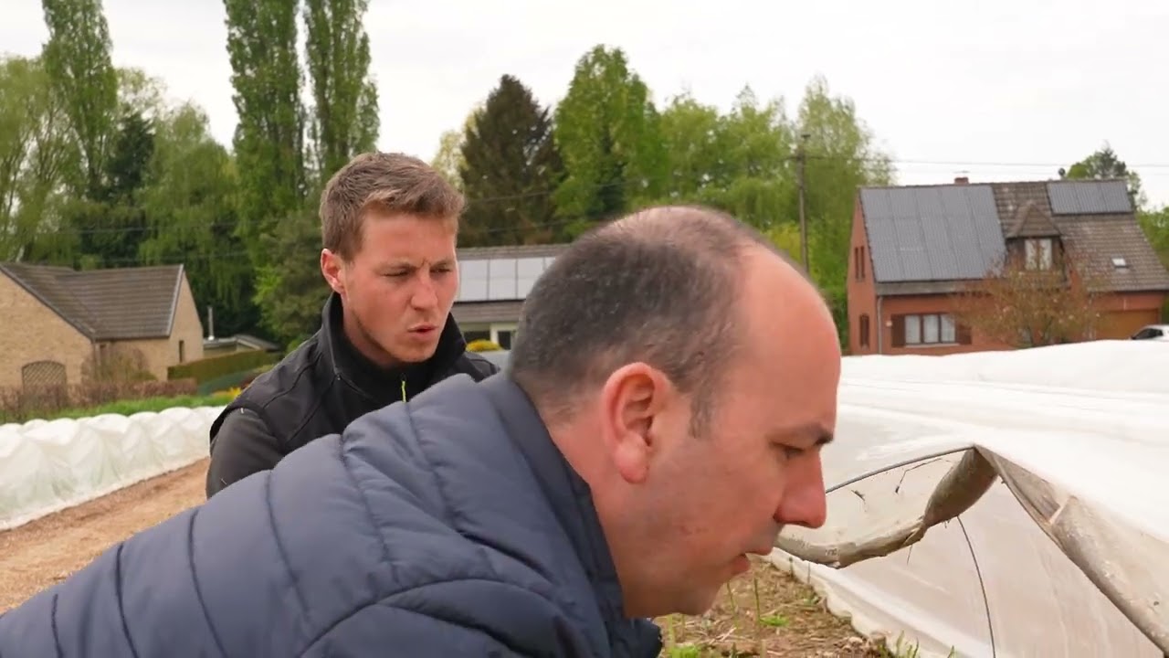 TUTO 2: La culture des asperges