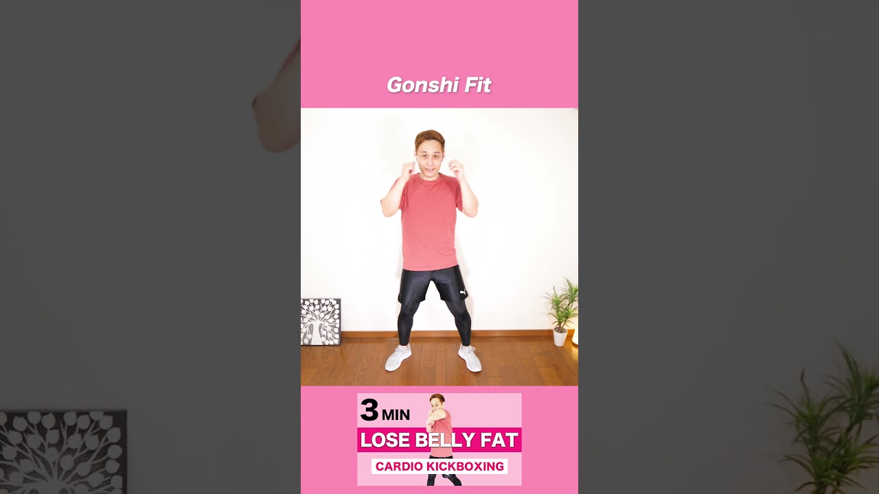 Cardio Kickboxing Workout -17 // Lose Belly Fat  