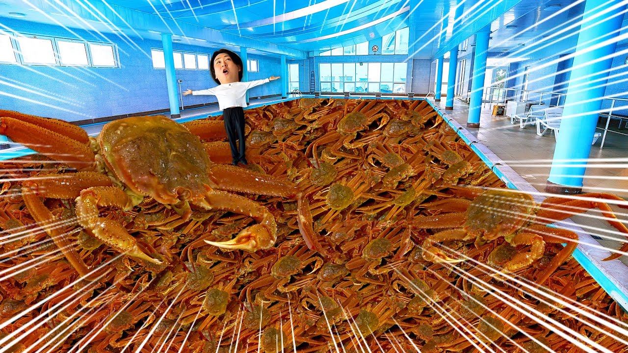 Over 100 Tons!?] We Went Behind the Scenes of the Giant Snow Crab