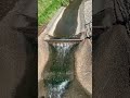 എനിക്ക് ജപ്പാനിൽ എന്താ ജോലി ? 😮|| Highly Requested Video 😀#trending #japan#malayaആഗആണോ
