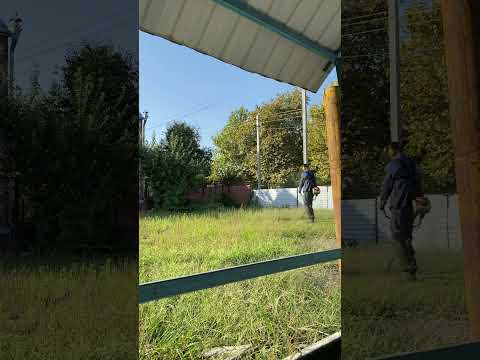 Покос маленькой травы