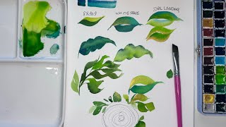 My Favorite 6 Watercolor Leaves