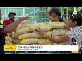 Feria del IMA y emprendedores en el Parque Omar: alivio para el bolsillo