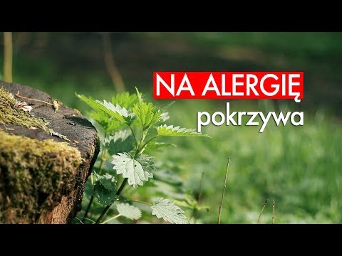 Wideo: Niesamowita Moc Najpospolitszej Pokrzywy