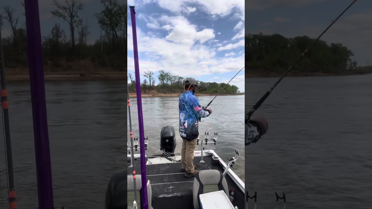 Bumping for blues 🔥