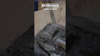Sauberes Brennholz in wenigen Sekunden | Holzreinigung #automobile #brennholz #wood