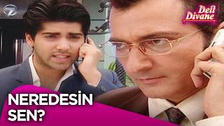 Neler Oluyor Hesap Ver Deli Divane 206. 