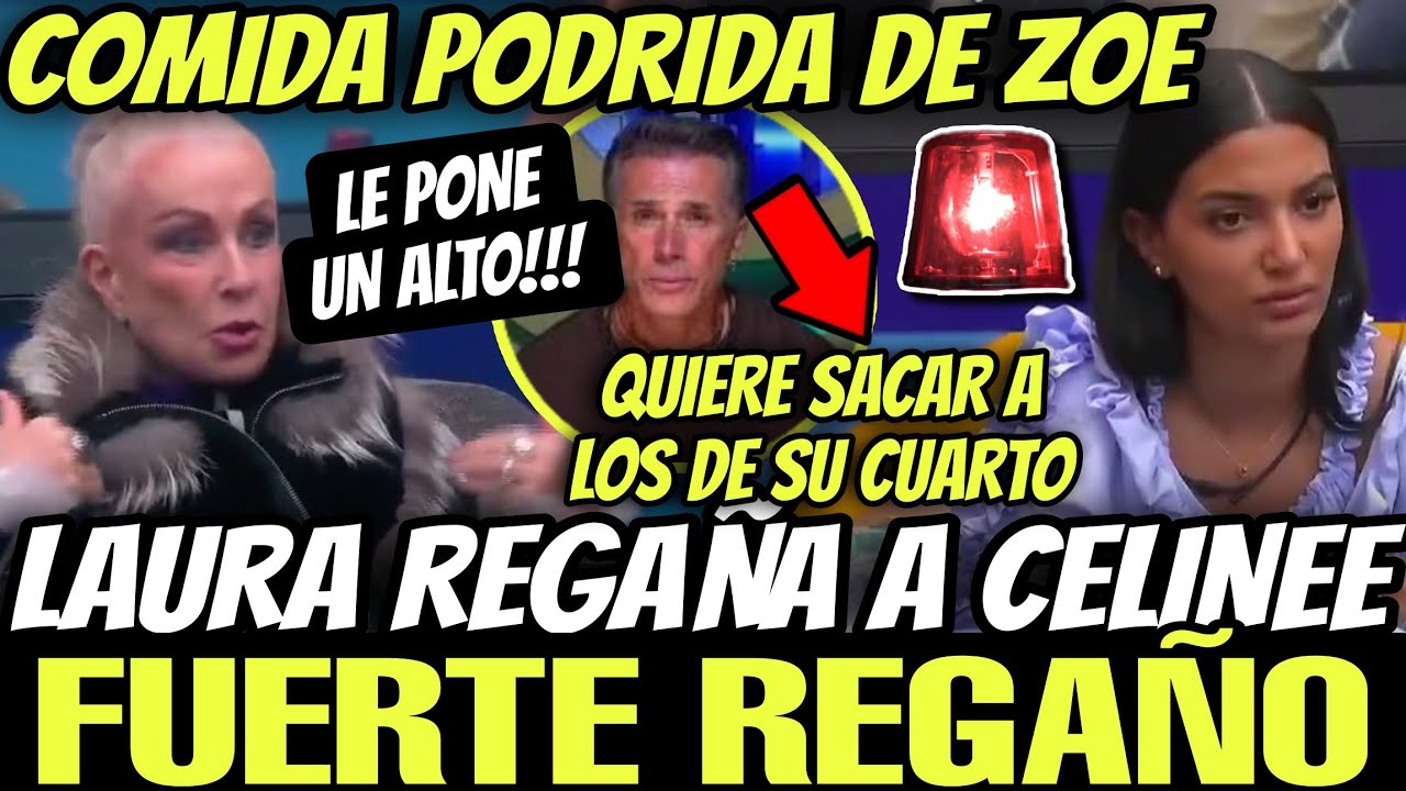 🔥LAURA REGAÑA A CELINE🔥HORACIO CELOSO DE ORIANA🔥SERGIO COMO LUPILLO🔥LA CASA DE LOS FAMOSOS 6 EN VIVO