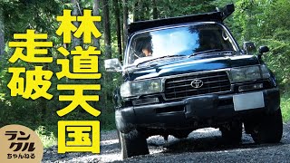 【富士山の林道】絶景の見える険しい林道をランクル80で走破！【ランクルちゃんねる号】 screenshot 4