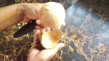 How to remove coconut from shell #shorts
