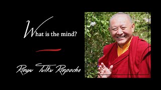 17. What is the mind? | Answers for Beginners | Ringu Tulku Rinpoche