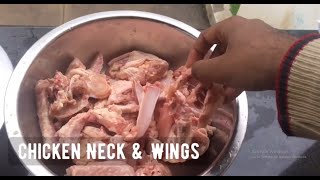 Feeding RAW CHICKEN to my Dogs | Mudhol Hound & Great Dane by Vachan N C 44,293 views 3 years ago 8 minutes, 32 seconds