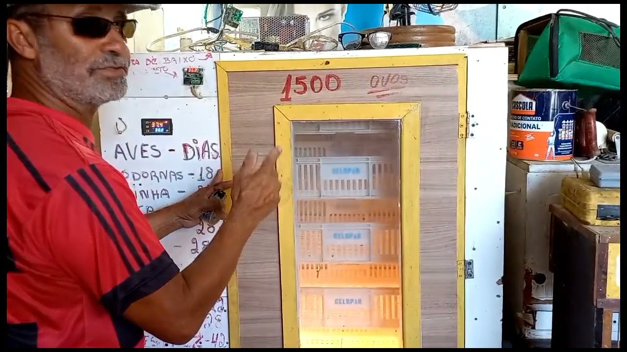 como fiz a chocadeira pra 1500 ovos !