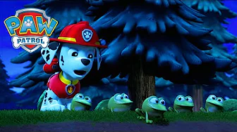 Frog Pond! 🐸  - PAW Patrol - Cartoons for Kids
