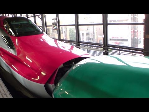 東北新幹線 E5系 はやぶさ E6系 こまち 連結 切り離し 岩手 盛岡観光動画 Youtube