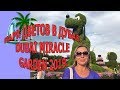 Парк цветов в Дубае 2019 влог|Miracle Garden Dubai 2019