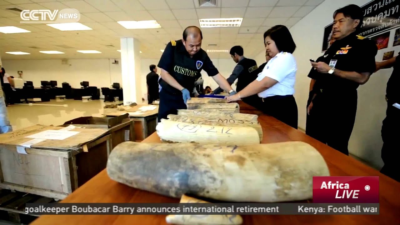 World Wildlife Day in South Africa