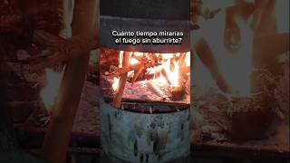 Noche de invierno en el campo 🔥
