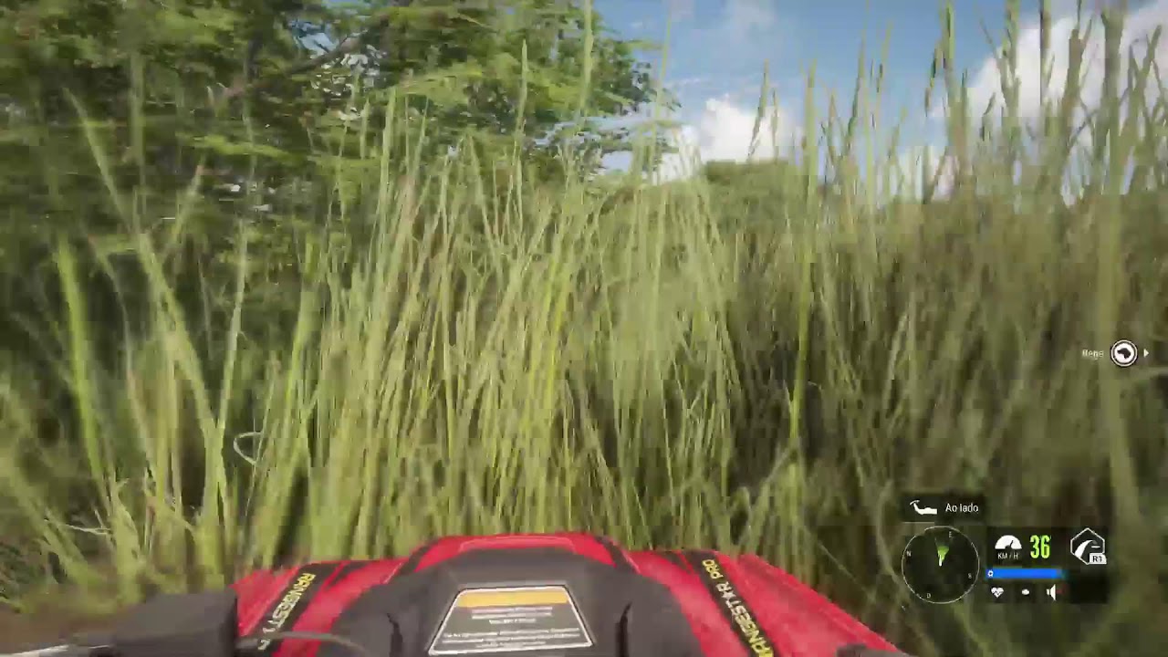 Atrás do leão  mais raro do jogo