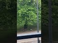27.5.2026 miksi roskataan joka päivä sanaton ari nurmi