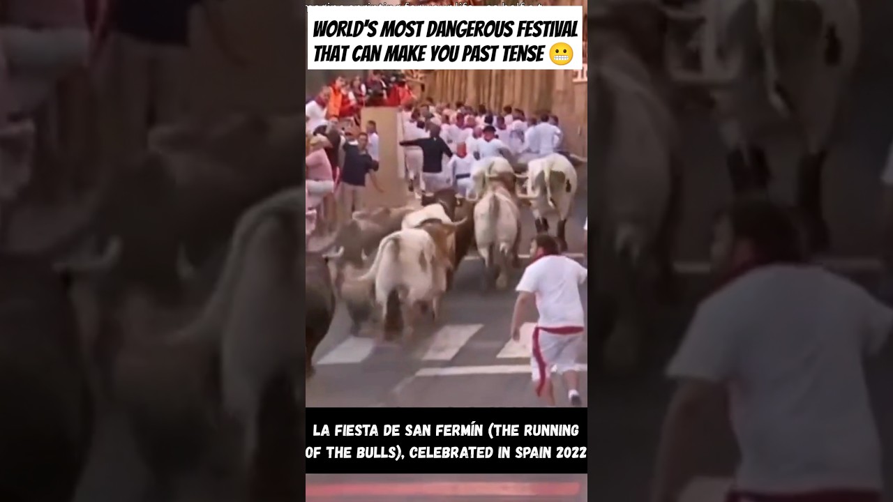 The World’s Craziest Festival? How Spain’s Bull Run Actually Works 😱