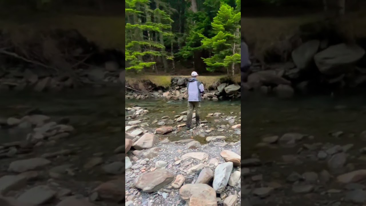 Extrait vidéo :objectif truite sur le rioumajou 