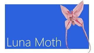 Luna Moth Origami Tutorial (Jason Ku)
