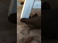 leveling techniques for inclined support legs#WeldingSkills#ElectricWelding#CreativeCrafts#MetalWork