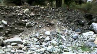 Gold East Fork 2 Ron and Daves Gold adventures #1