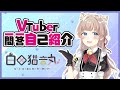 【Vtuber一問一答自己紹介】白田 猫音丸\(しろた ねねまる\)です🐱🍰🎀【新人VTuber】