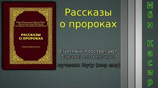 Египтяне подстригают Фараона подвергнуть мучения Мусы (мир ему)