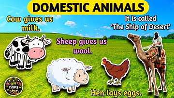 Domestic Animals and their uses | Pet Animals |  WATRstar