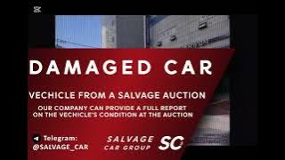 WAUZZZ4L3FD011305. Audi