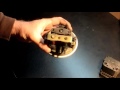 GM Cruise Control Vacuum Servo Actuator Repair - 1987 Buick Century