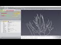 Amira-Avizo How To | Use the Auto Skeleton module