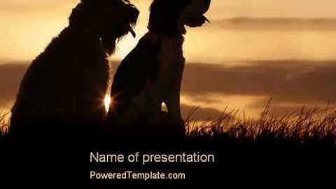 Dog Couple PowerPoint Template by PoweredTemplate.com