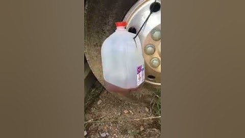 Homemade fly trap get rid of flies