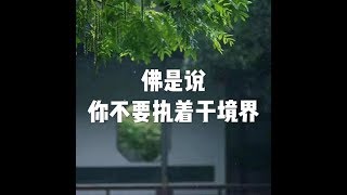 201907 佛是说 你不要执着于境界51547